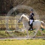 Alfsengi_maart_0M8A8479
