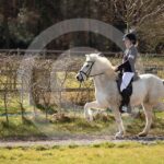 Alfsengi_maart_0M8A8482