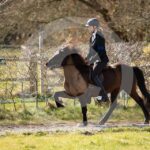 Alfsengi_maart_0M8A8485