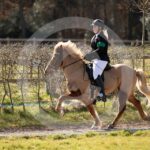 Alfsengi_maart_0M8A8495