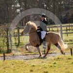 Alfsengi_maart_0M8A8502