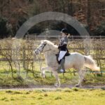 Alfsengi_maart_0M8A8516