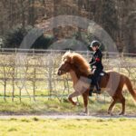 Alfsengi_maart_0M8A8520