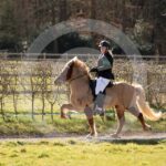Alfsengi_maart_0M8A8530