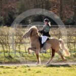 Alfsengi_maart_0M8A8532
