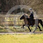 Alfsengi_maart_0M8A8534