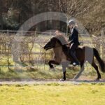 Alfsengi_maart_0M8A8536