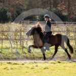 Alfsengi_maart_0M8A8541