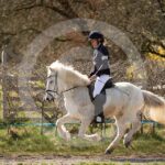 Alfsengi_maart_0M8A8551