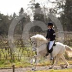 Alfsengi_maart_0M8A8559