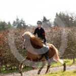 Alfsengi_maart_0M8A8561
