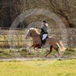 Alfsengi_maart_0M8A8566