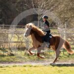 Alfsengi_maart_0M8A8578