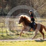 Alfsengi_maart_0M8A8579