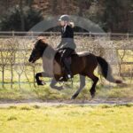 Alfsengi_maart_0M8A8581