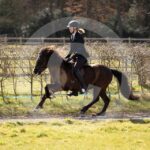 Alfsengi_maart_0M8A8582