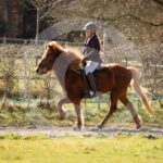 Alfsengi_maart_0M8A8585