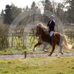 Alfsengi_maart_0M8A8599