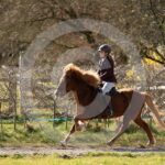 Alfsengi_maart_0M8A8606