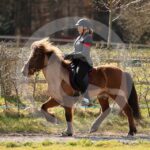 Alfsengi_maart_0M8A8629
