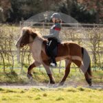 Alfsengi_maart_0M8A8631