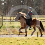 Alfsengi_maart_0M8A8633