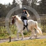 Alfsengi_maart_0M8A8646