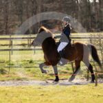 Alfsengi_maart_0M8A8661