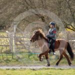 Alfsengi_maart_0M8A8665