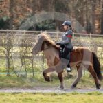 Alfsengi_maart_0M8A8669