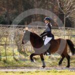 Alfsengi_maart_0M8A8674