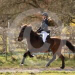 Alfsengi_maart_0M8A8685