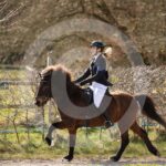 Alfsengi_maart_0M8A8686