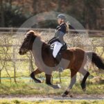 Alfsengi_maart_0M8A8688