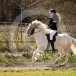 Alfsengi_maart_0M8A8696