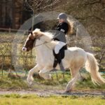 Alfsengi_maart_0M8A8715