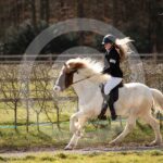 Alfsengi_maart_0M8A8717