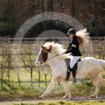 Alfsengi_maart_0M8A8718