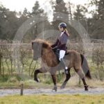 Alfsengi_maart_0M8A8740