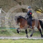 Alfsengi_maart_0M8A8743