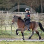 Alfsengi_maart_0M8A8749