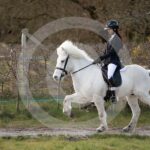 Alfsengi_maart_0M8A8758