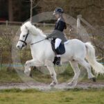 Alfsengi_maart_0M8A8763