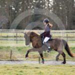 Alfsengi_maart_0M8A8767