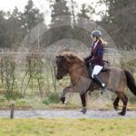 Alfsengi_maart_0M8A8770