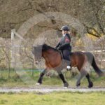 Alfsengi_maart_0M8A8772