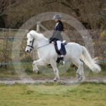 Alfsengi_maart_0M8A8781