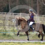 Alfsengi_maart_0M8A8792