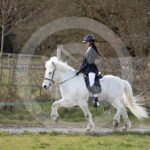 Alfsengi_maart_0M8A8807