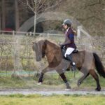 Alfsengi_maart_0M8A8821